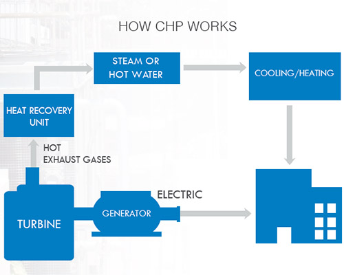 Cogeneration Facilities The Next Giant Leap Foundation